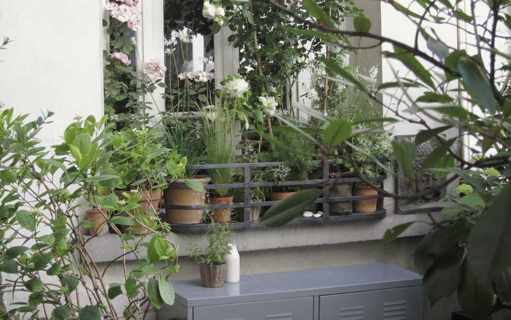 Jardinière Fenêtre Paris. Le Vert à Soi. Décoration végétale de fenêtres