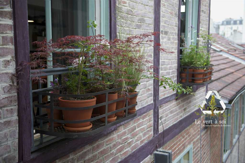 Jardinière Fenêtre Paris. Le Vert à Soi