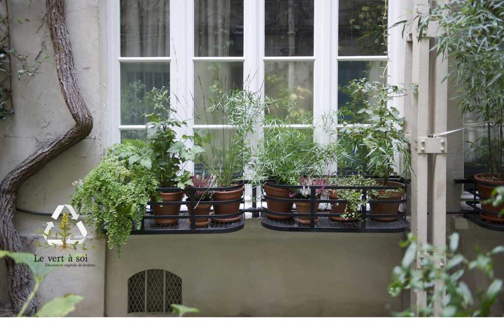 Jardinière Fenêtre Paris. Le Vert à Soi