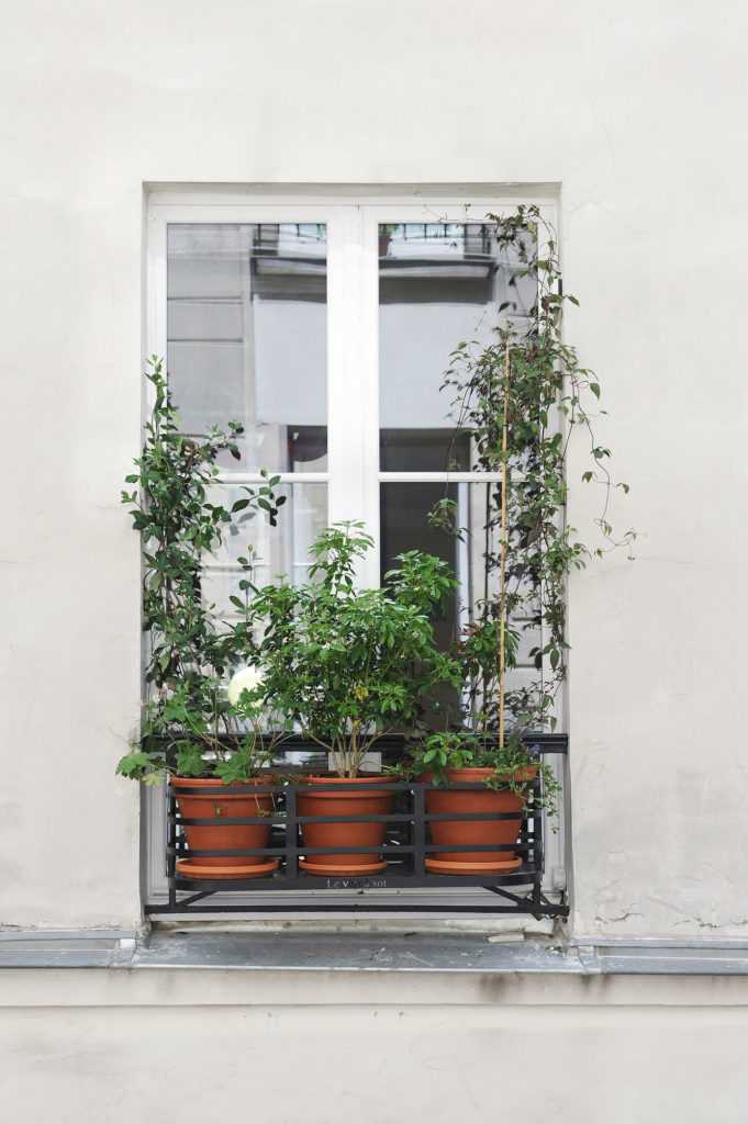 jardinière fenêtre Paris. Le Vert à Soi