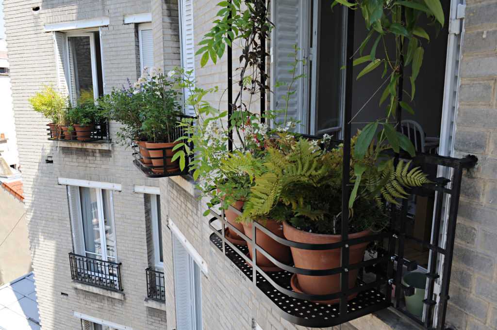 Rue du Général Beuret. Décoration végétale Le Vert à Soi