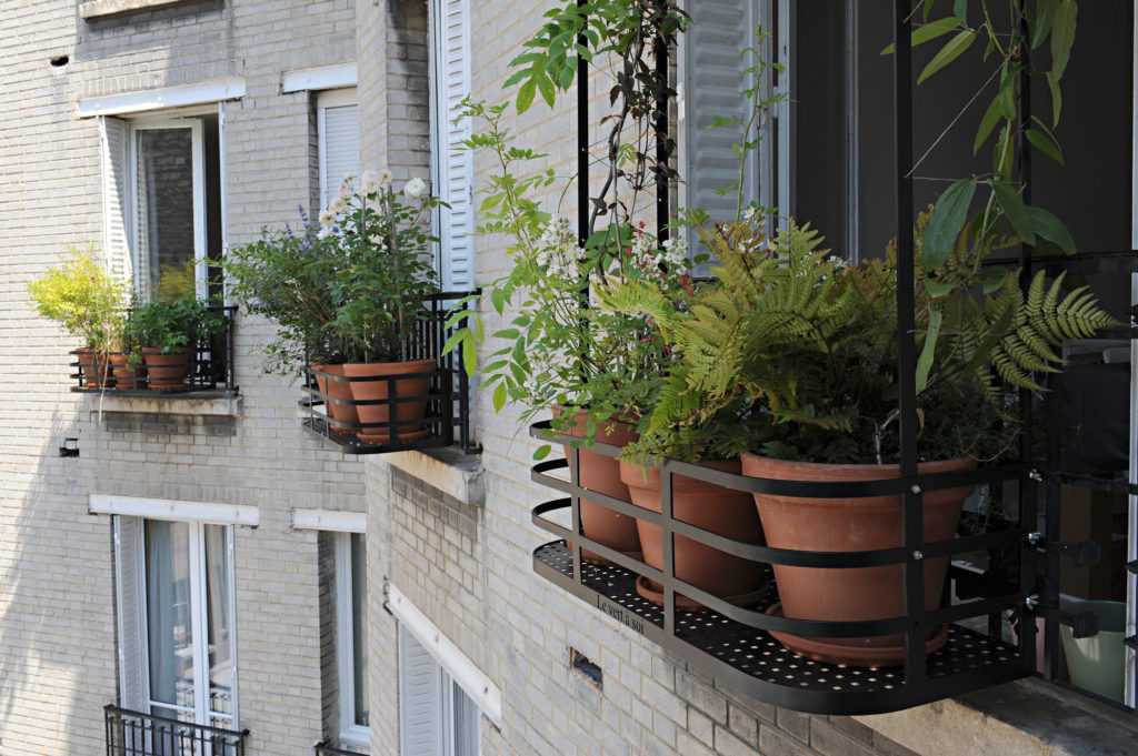 Rue du Général Beuret. Décoration végétale Le Vert à Soi