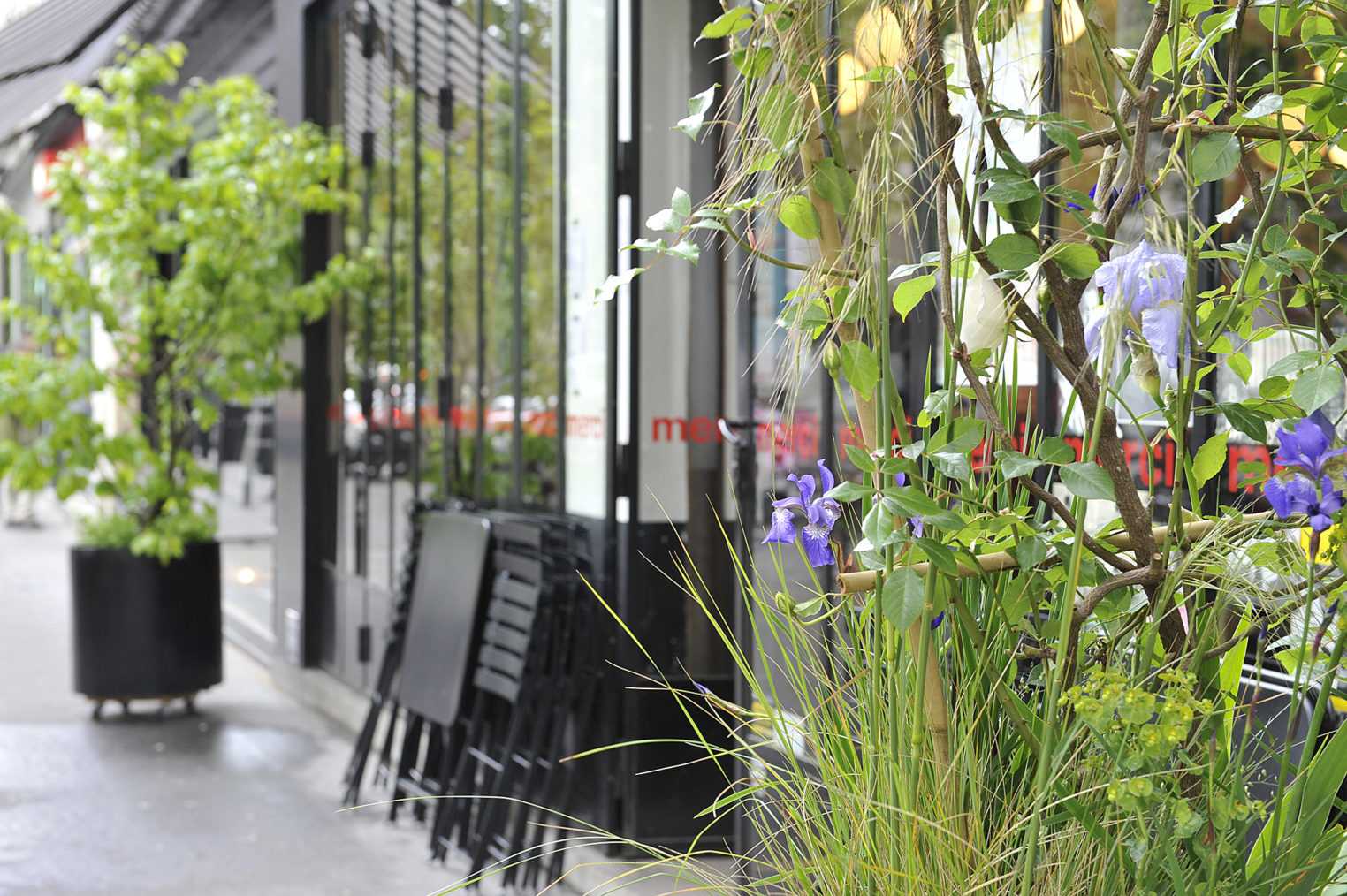 02_CineCafe