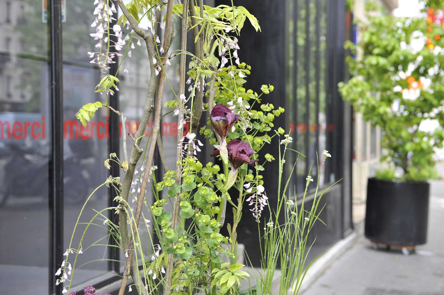 03_CineCafe