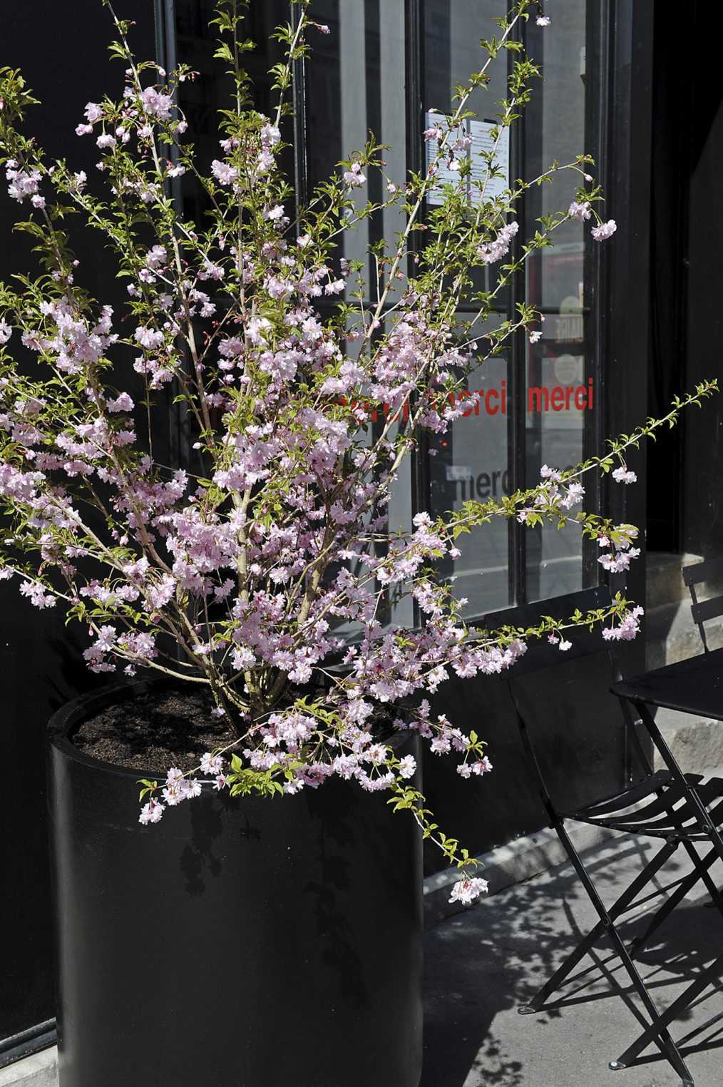 05_CineCafe