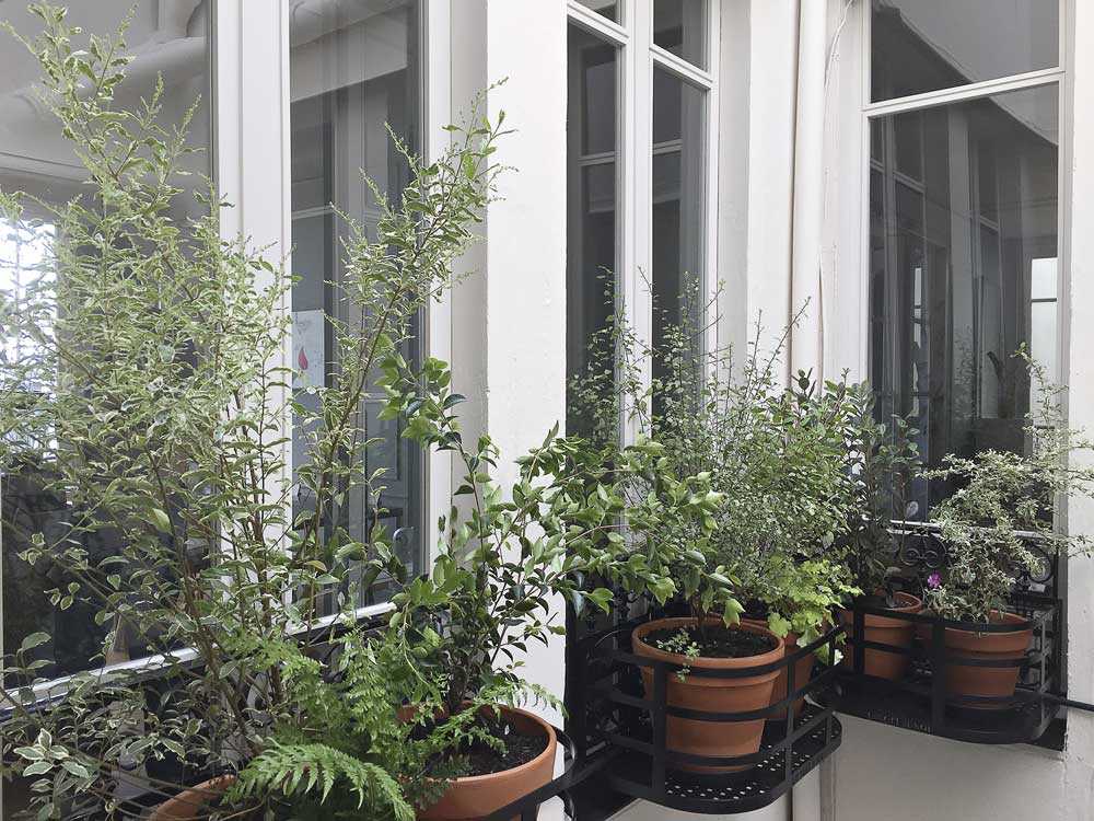 Quai_Fleurs_004