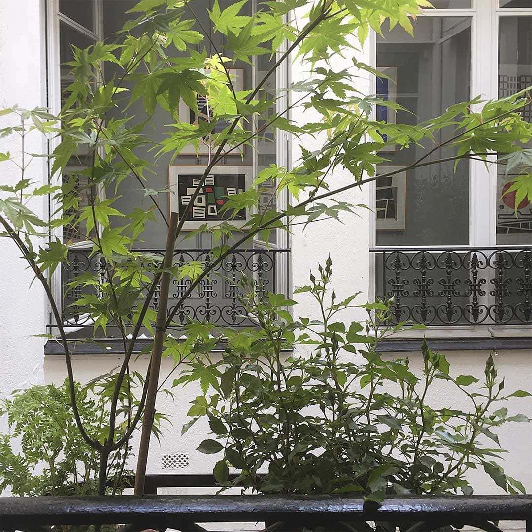 Quai_Fleurs_005