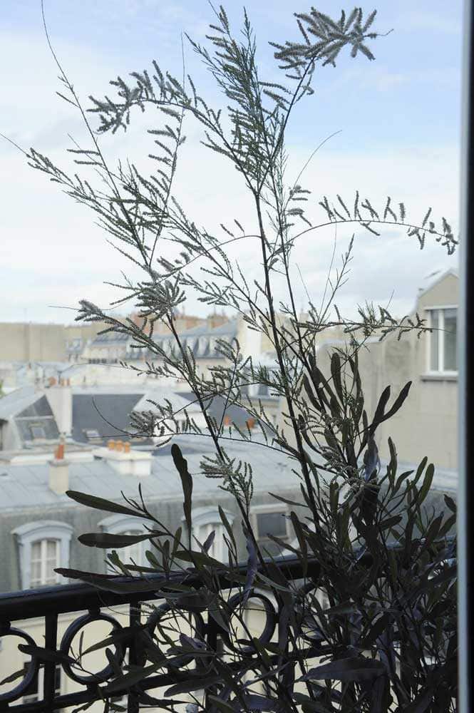Varenne2_006